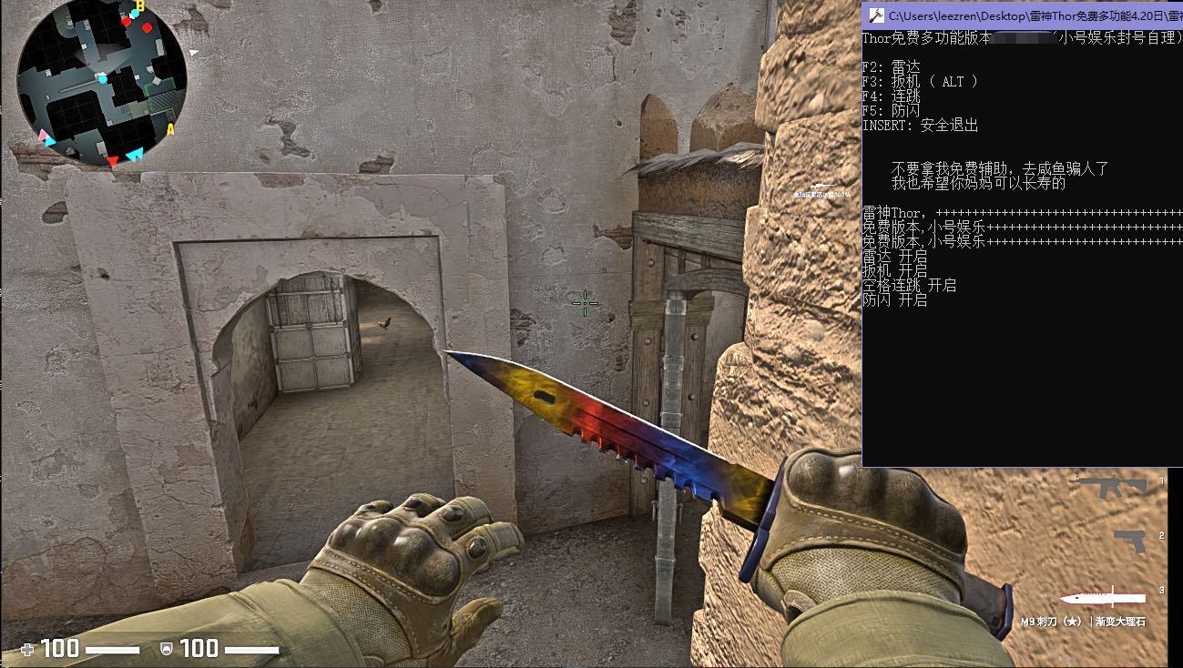 CSGO5E辅助-Thor(5.18日)发光|雷达|连跳|扳机|防闪